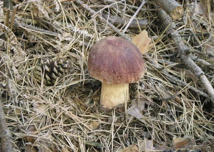 Perales Hotel Puebla de Sanabria